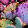 Rainbow Cactus Art Print By Justina Blakeney -home decoration 03 3547cab2 393b 4d96 ad29 75345d45029a