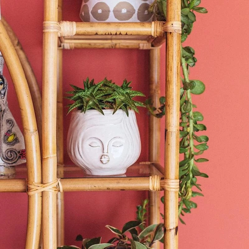 Pucker Up Planter 4 Pucker Up Planter - Image 2