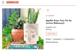 Agatha Kaya Face Vase By Justina Blakeney™ 11 Agatha Kaya Face Vase By Justina Blakeney™ -home decoration agatha kaya face pot