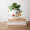 Bubble Ceramic Planter 2 Bubble Ceramic Planter -home decoration bubbleplanter