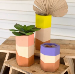 Vivid Hexagonal Vase Set