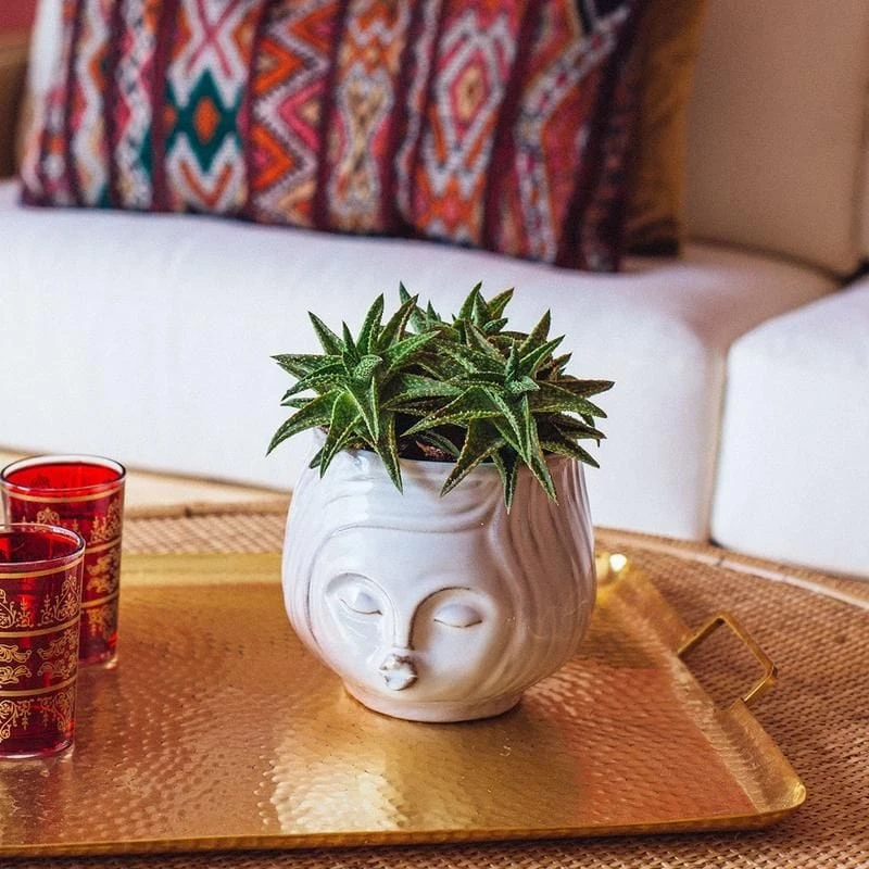 Pucker Up Planter 5 Pucker Up Planter - Image 3