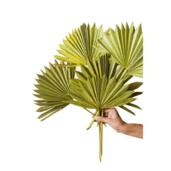 Rowen Palm Bouquet 8 Rowen Palm Bouquet -home decoration green sun palms best dried flowers and dried bouquets 30596691361844 PhotoRoom