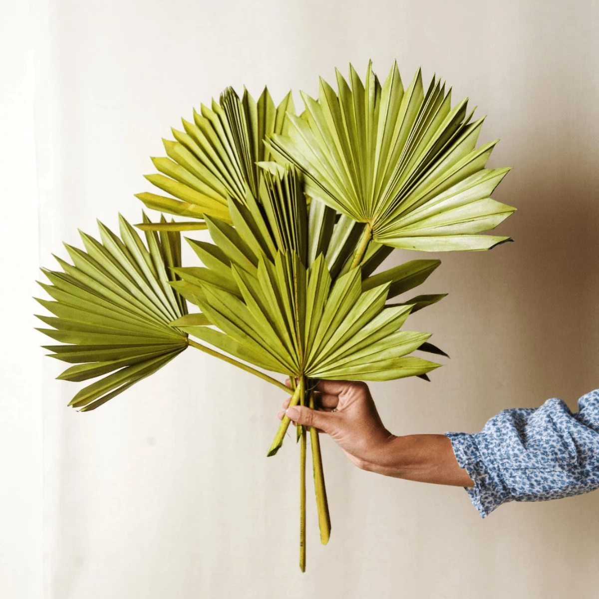 Rowen Palm Bouquet 3 Rowen Palm Bouquet