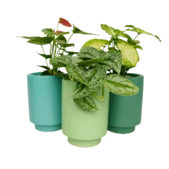 Kelly Green Kaya Vase By Justina Blakeney™ -home decoration greenkayaplanters 1715ce7f fabb 4e3b 8d20 fc0e8c9a4ec6