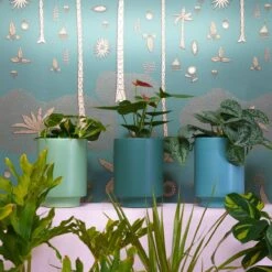 Kiwi Green Kaya Vase By Justina Blakeney™ -home decoration greenplanters