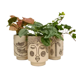 Agatha Kaya Face Vase By Justina Blakeney™ 13 Agatha Kaya Face Vase By Justina Blakeney™ -home decoration groupplanters