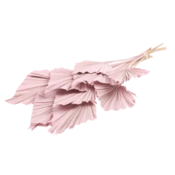 Rose Palm Bouquet -home decoration pink spade palm best dried flowers and dried bouquets 30550881501236 PhotoRoom