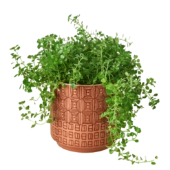 Diamond Planter -home decoration pinkplanter