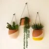 Color Dipped Wall Planter Set -home decoration planter 758c46f5 6a90 427e 95eb 566d43054517