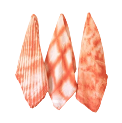 Poppy Hand Dyed Tea Towel Set -home decoration towels PhotoRoom